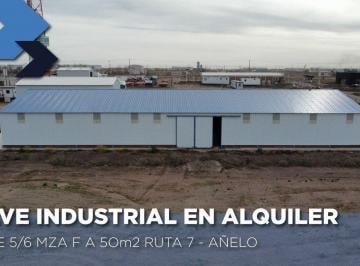 Bodega-Galpón · 1000m² · Se Alquila Nave Industrial en Añelo, Vaca Muerta