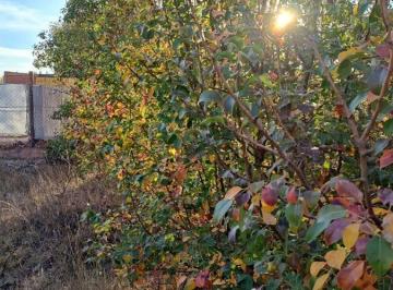 Terreno · 360m² · Venta Terreno 360 m² B° El Manzanar Plottier