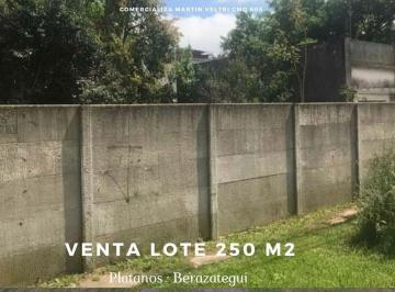 Terreno · 278m² · Venta Lote 11 X 23 m en Platanos