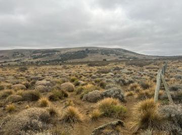 Terreno · 5000m² · Terreno en Loteo Huechulafquen