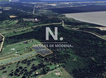 Foto1 · Campo de 5 Has con 4658 m² en La Pataia