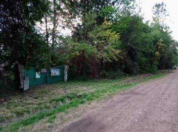 Casa de 4 ambientes, Pilar · Oportunidad Casa Quinta Nihon Para Emprendimiento Comercial o Familiar