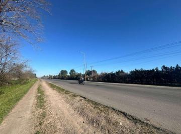 Terreno · 69063m² · 7 Hectáreas S/ruta 25 Dardo Rocha Km 7,5 Pilar