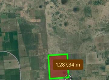 Terreno · 1370000m² · Campo Mixto de 137 Ha en Providencia, Santa Fe