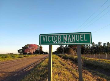 Campo · 219ha · Se Vende Campo Mixto en Víctor Manuel II