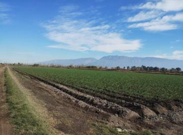 Campo · 62328ha · Campo de 6 Ha. Sobre Calle 1o. Pocito