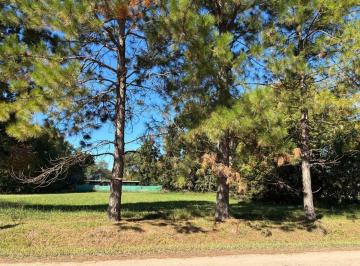 Terreno · 1130m² · Venta Terreno 1130 m² Roldán a m de Ruta 9