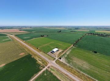 Campo · 28ha · Venta Campo Agricola 28 Ha Firmat