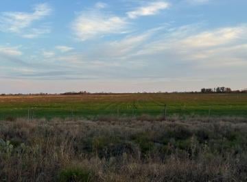 Campo · 64ha · Remax Vende Campo Agricola Souto Mayor Santa Fe