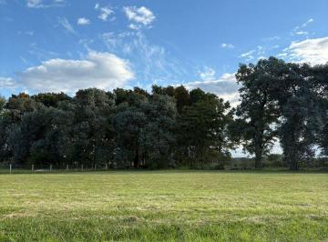 Terreno · 1156m² · Venta Lote Pilar Medal Country Club