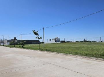 Terreno · 300m² · Lote/excelente Ubicacion/zona Sur/escriturable.