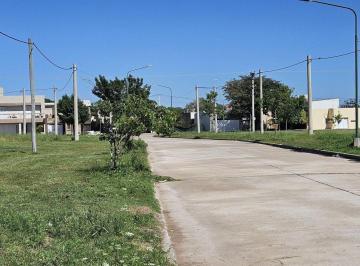 Terreno · 300m² · Lote/excelente Ubicacion/zona Sur/escriturable.