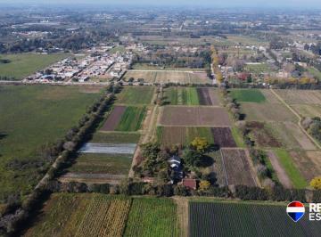Terreno · 60000m² · Campo Agricola, 6 Ha Villa Vatteone, F. Varela