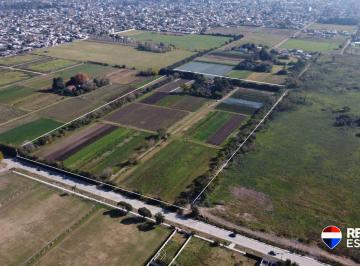 Terreno · 60000m² · Campo Agricola, 6 Ha Villa Vatteone, F. Varela