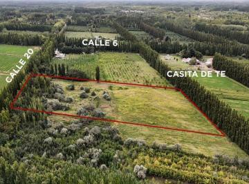 Campo · 3ha · Venta Chacra 2,5has, Calle 20 Centenario - Neuquén
