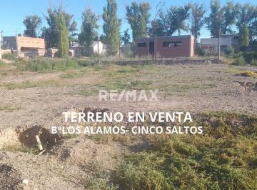 Terreno · 300m² · Terreno en Venta - B° Los Alamos - Cinco Saltos