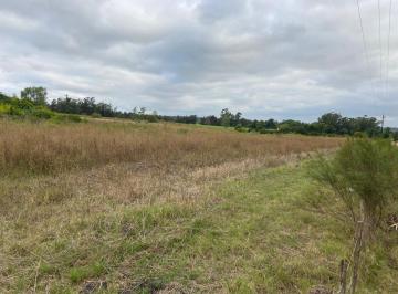 Terreno · 30000m² · Venta de Terreno Km 32 Progreso 3ha