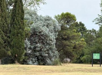 Terreno · 1666m² · 2 Lotes 1.666 m² Venta Saint Thomas Centro - Permuta
