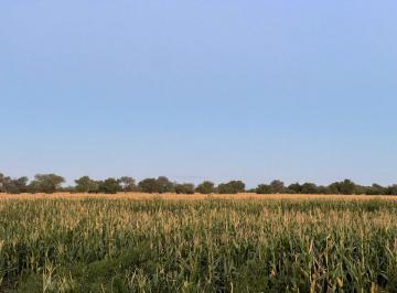 Campo · 1204ha · Campo Mixto 346 Ha - Ruta Nacional 38 Cruz del Eje