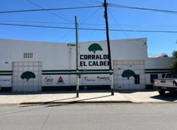 Bodega-Galpón · 300m² · Ventagalpón de 300 m² 5 m Altura Trifásica, Asfalto