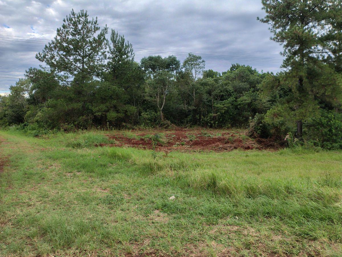 Ruta Nacional 12 1547, El Dorado, Misiones