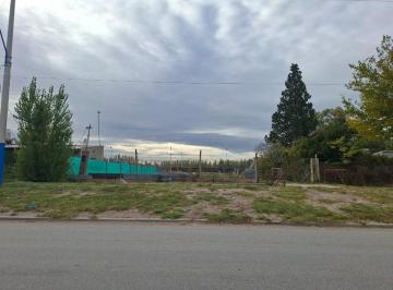Terreno · 300m² · Venta Terreno Comercial Sobre La Jujuy, Gral. Roca