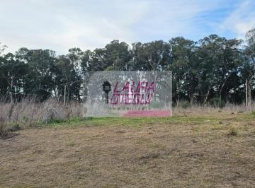 Terreno · 290m² · Venta Lote Zona en Crecimiento