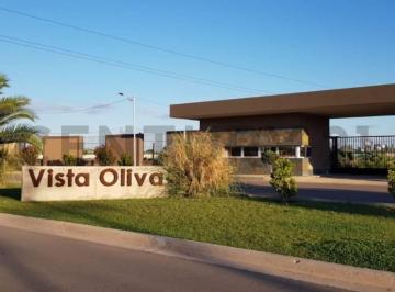 Terreno · 300m² · Lote en Venta B° Vista Oliva Maipú