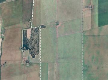 Campo · Venta - 300 Ha Agrícolas Villa Mercedes (San Luis)