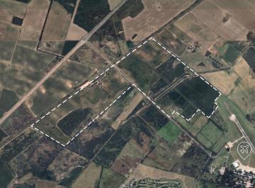 Campo · San Luis - Campo en Villa Mercedes, Ideal Para Desarrollo Urbano!