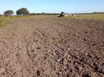 Campo · 300ha · 3 Ambientes · Campo Ganadero en Producciòn