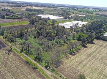 Campo · 80000ha · Mar del Plata - 8 Ha
