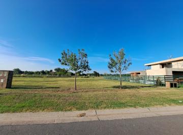 Terreno · 972m² · Venta de Lote de 972 m² en Area 1 San Sebastián Escobar