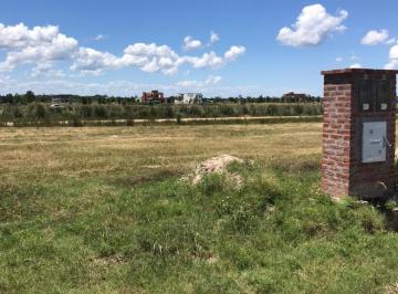 Terreno · 891m² · Terreno a La Venta en Barrio El Naudir