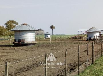 Campo · 235000m² · Campo - 235 Hectáreas / Mechongué, Gral. Alvarado