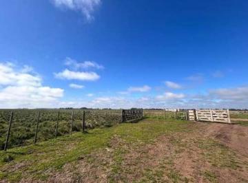 Campo · 51000m² · Campo - 51 Hectáreas / Cte. N. Otamendi, Gral. Alvarado.