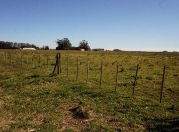 Campo · 4000m² · Campo 4 Hectáreas / Miramar, Gral. Alvarado