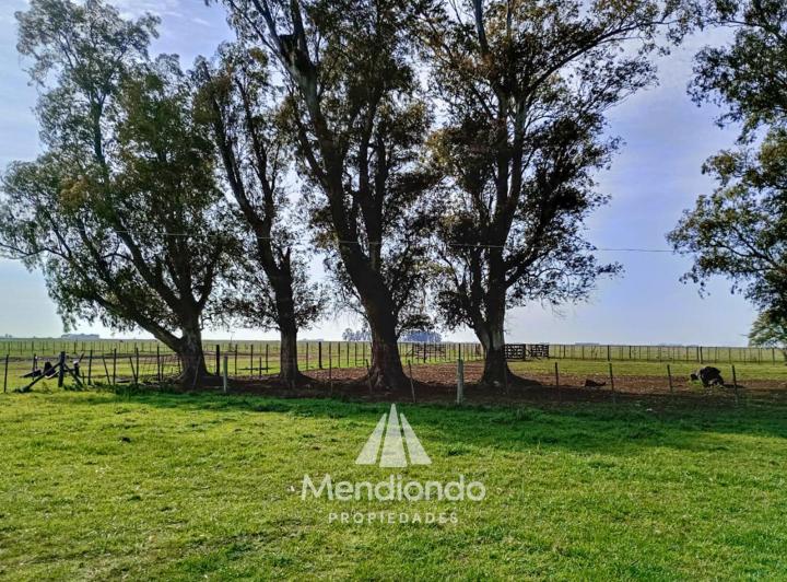 Campo en venta en Dolores