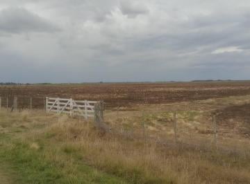 Campo · 133000m² · Campo de 133 Hectáreas Mixtas, Lobería