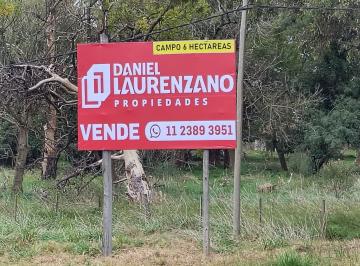 Terreno · 65000m² · Terreno de 6 Hectáreas en Cañuelas