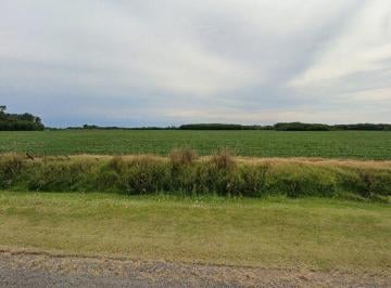 Campo , Chivilcoy · Campo en Ayarza