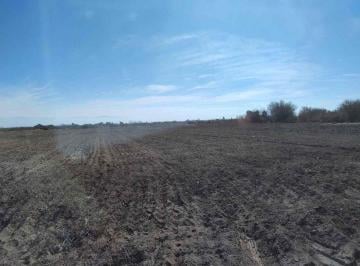Campo · 47ha · Finca con Pozo. 47 Ha. Carpinteria, Pocito.
