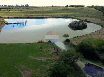Campo · 390ha · Venta de Chacra, Casas y Campos en Las Brujas