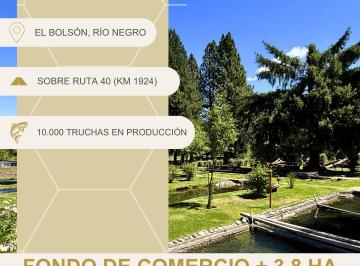 Terreno , El Bolsón · Terreno de 3800 m² en Venta. Criadero de Truchas en Funcionamiento + Fondo de Comercio