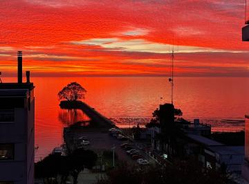 Departamento de 2 ambientes, Vicente López · Departamento Dos Ambientes Amoblado - Puerto de Olivos - Excelentes Vistas