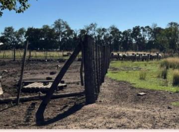 Campo · 15050m² · 3 Ambientes · Campo en Chivilcoy
