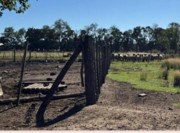 Campo · 15050m² · 3 Ambientes · Campo en Chivilcoy