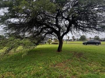 Foto · Lote en Venta Valle del Golf Etapa 1