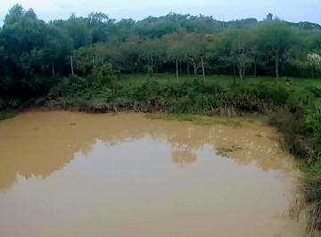 Terreno · 317000m² · Lote 31ha Venta S/rio, 2da Sección Delta Islas Paraná Palma
