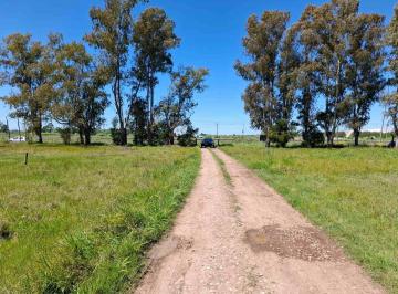 Terreno · 2000m² · Lote Venta Cañuelas Frente a Ruta 205